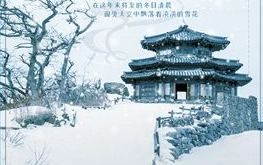 蜻蜓2代圖片